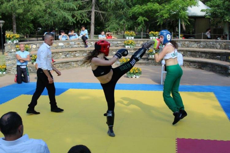 Savate